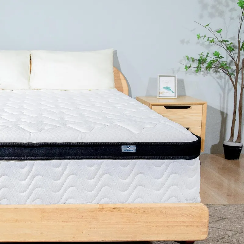 MOLBIUS Queen Mattress 10 Inch