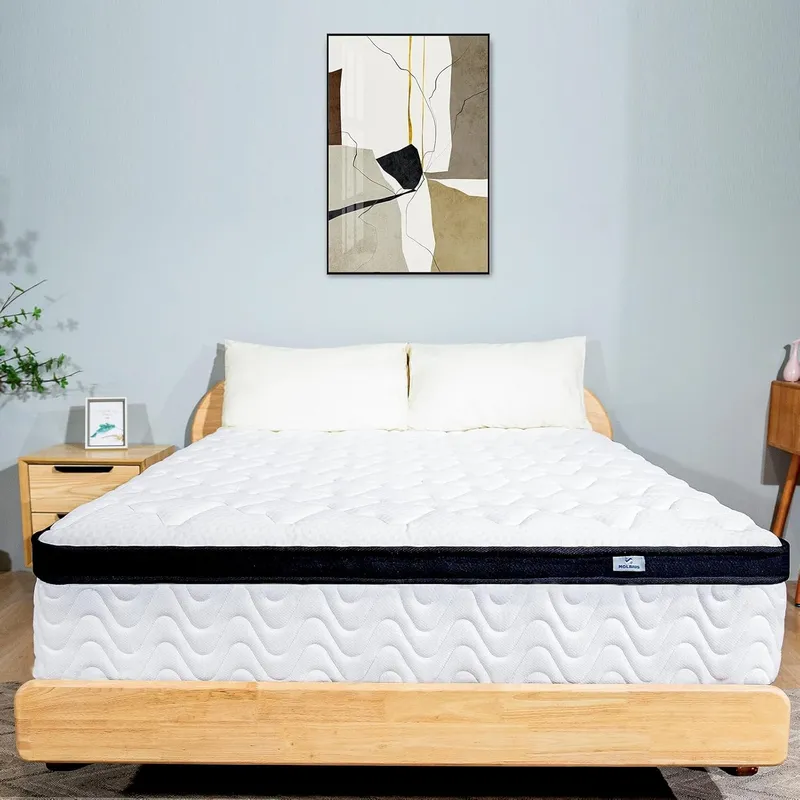 MOLBIUS Twin Mattress 10 Inch
